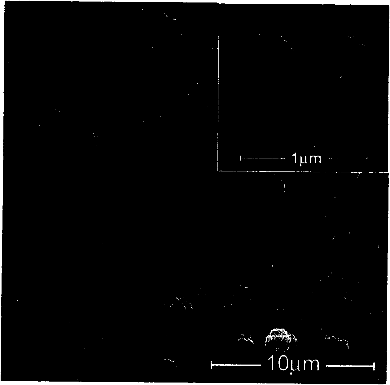 Process for improving chemical reaction conversion rate by utilizing FAU-type molecular sieve membrane