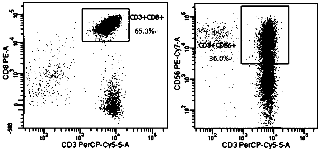 Reagent for inducing peripheral blood mononuclear cells into CIK cells and composition used by reagent