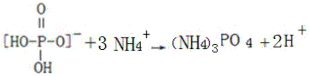 A kind of production method of preparing ammonium phosphate by-product special fertilizer for mulberry trees