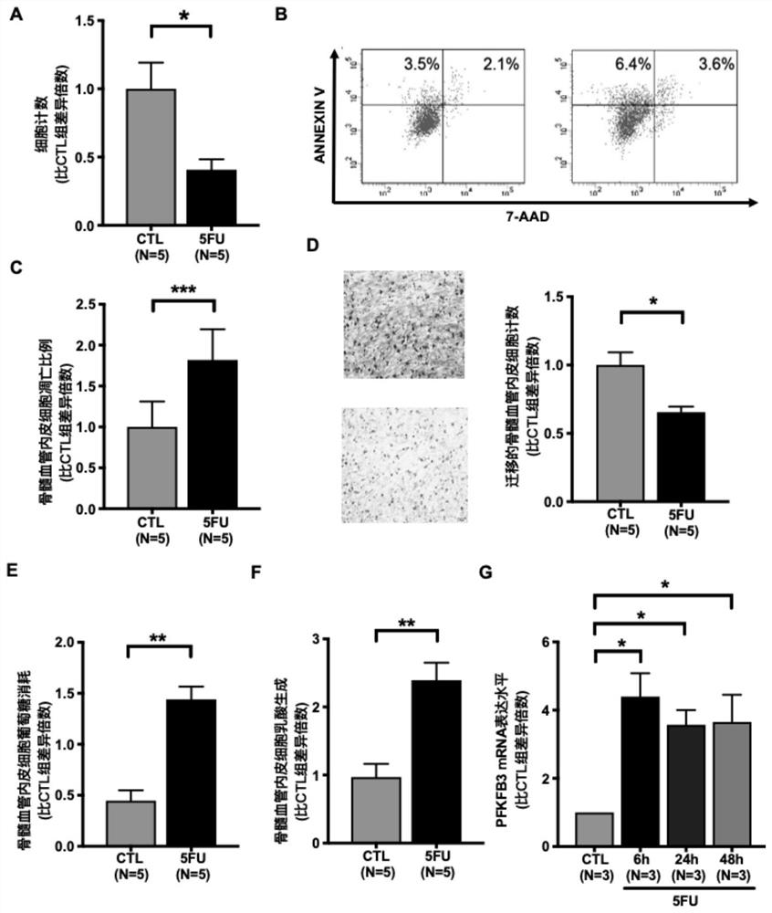 Glycolysis inhibitor and application thereof to repair of damage of endothelial cells