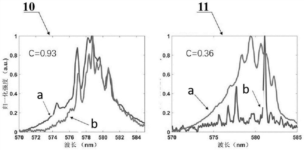 Random laser generation, spectrum synchronization and code sharing method