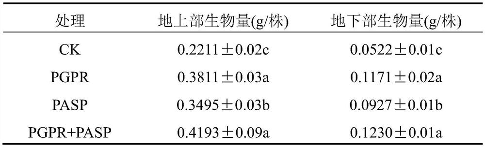 A method for remediating cadmium-contaminated soil