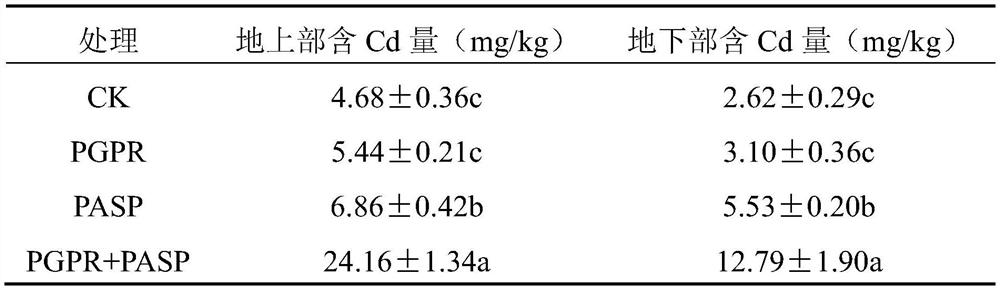 A method for remediating cadmium-contaminated soil