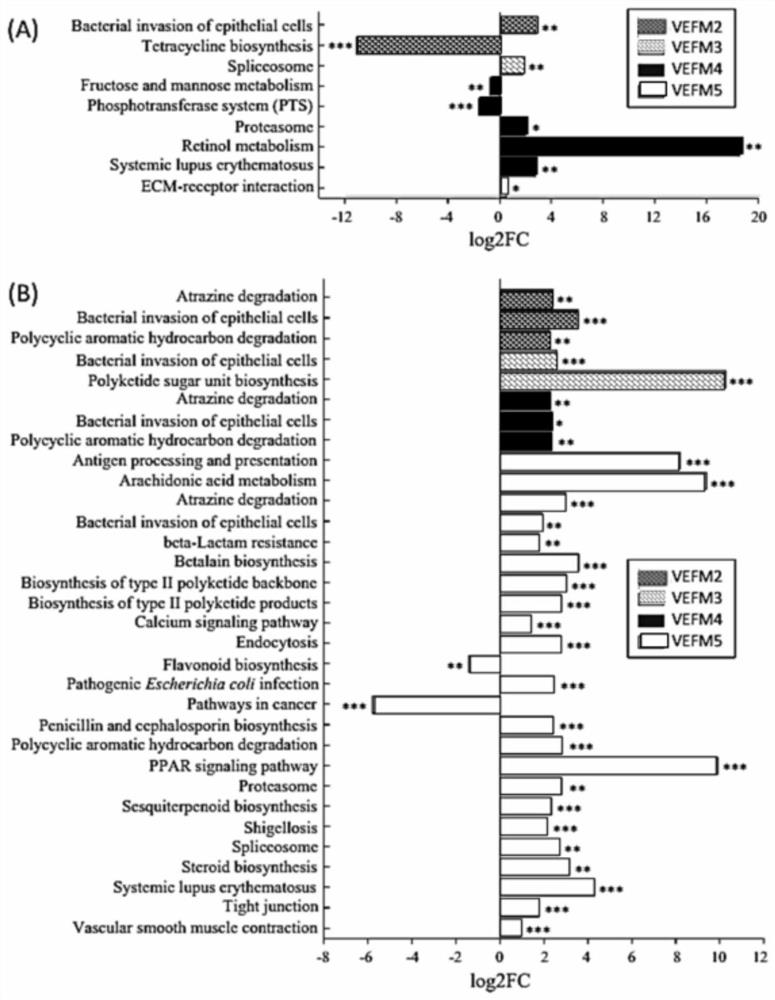 Method for establishing grass carp intestinal flora imbalance model