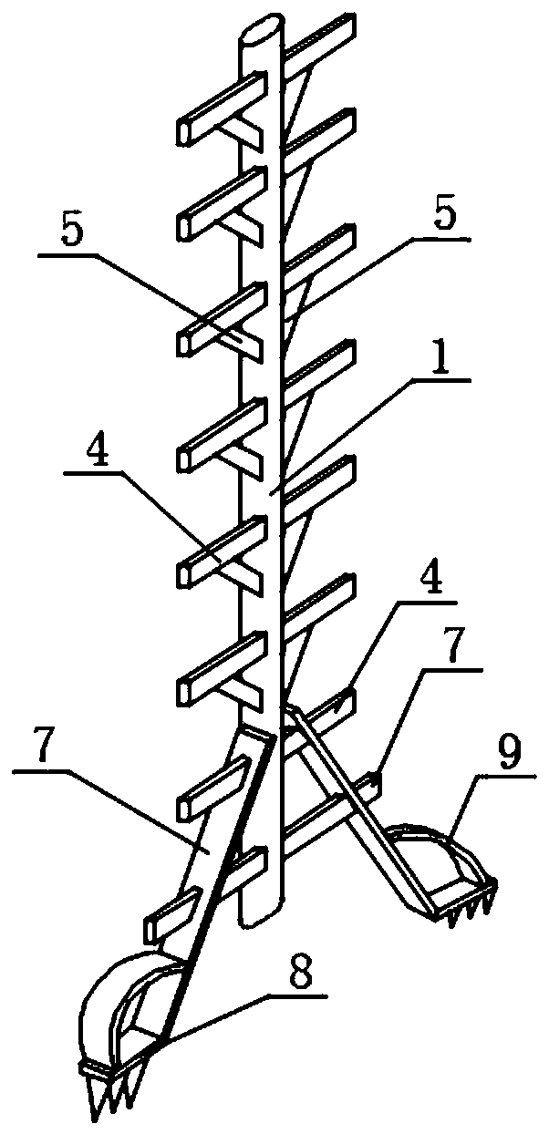 Special climbing ladder for nut picking