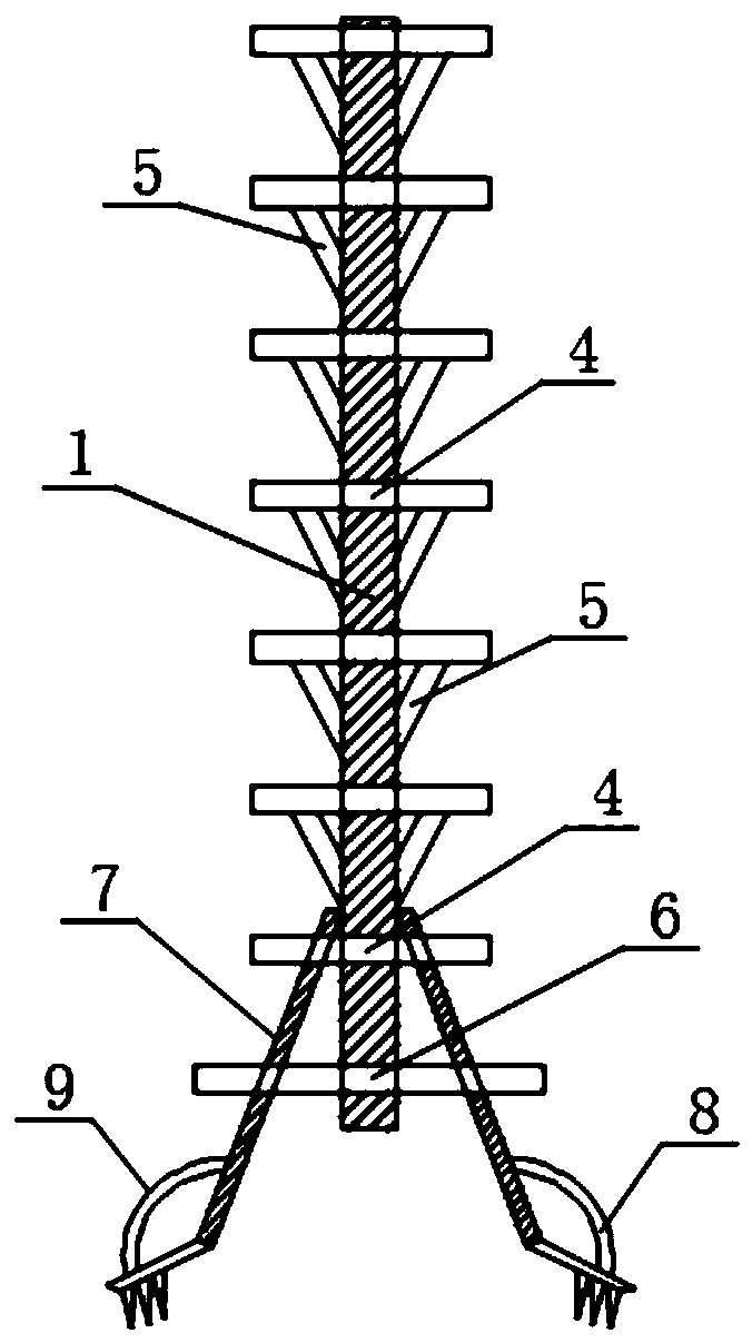 Special climbing ladder for nut picking