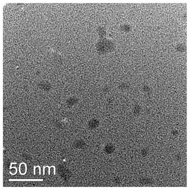 A preparation method and application of fluorescent sulfur-doped nitrogen dots