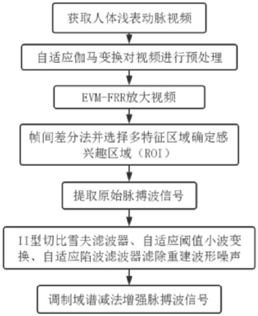 Method for accurately extracting pulse wave based on human body superficial artery video