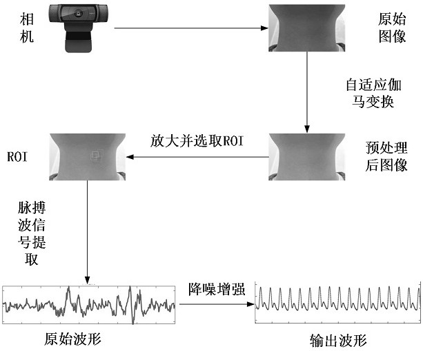 Method for accurately extracting pulse wave based on human body superficial artery video