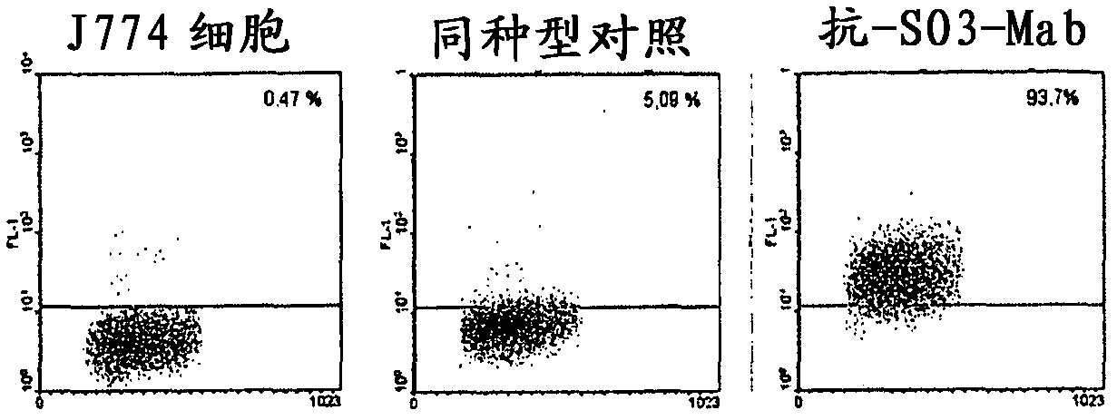 Antibodies that recognize sulphatides and sulphated proteoglycans and the use thereof