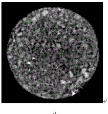 Image acquisition and quantitative characterization method of microscopic distribution of remaining oil in porous media