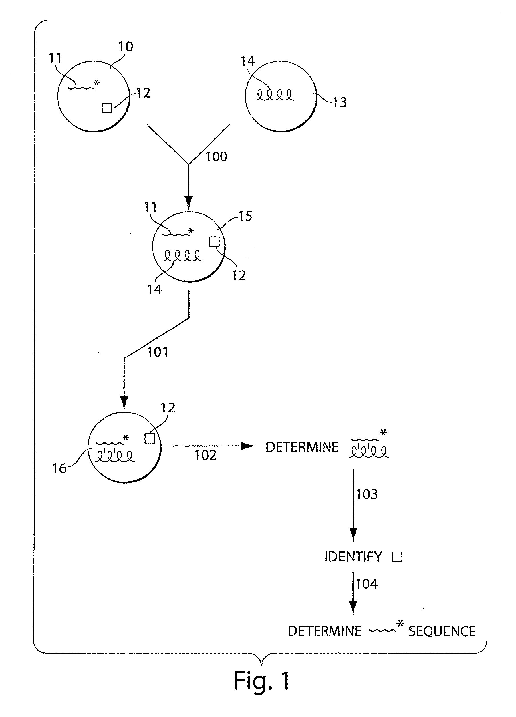 Systems and methods for nucleic acid sequencing