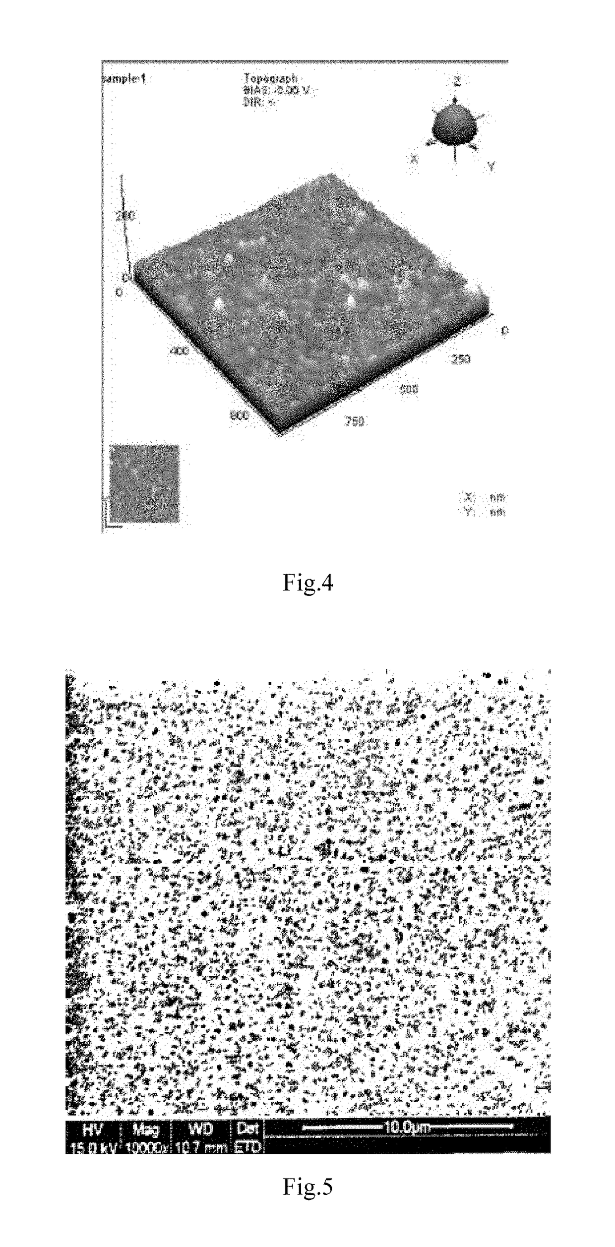Arginine-rich Peptide Mixture, their Application Thereof in Cervical Cancer Therapy, and a Process for Producing same