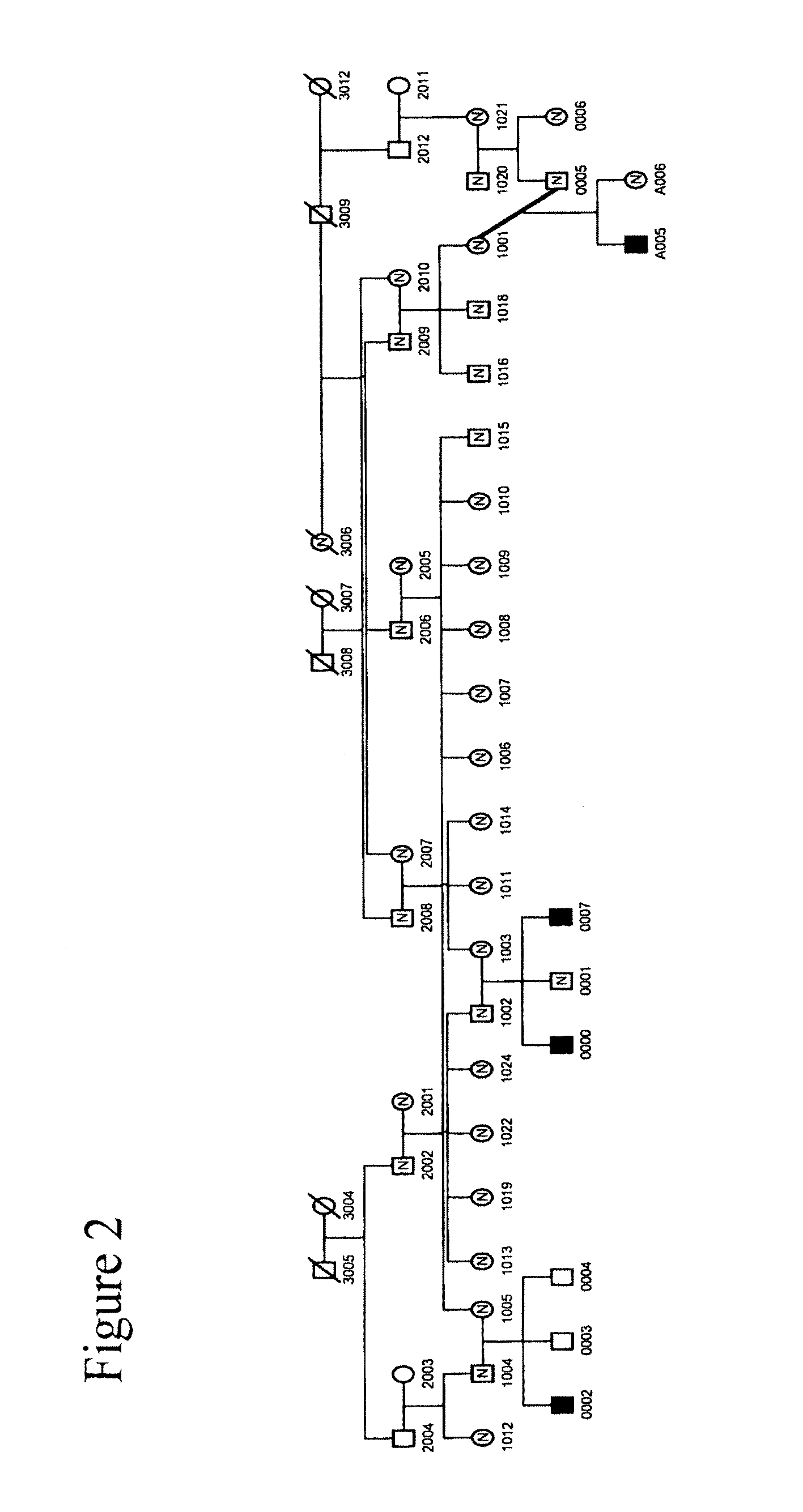 Methods for Identifying Analgesic Agents