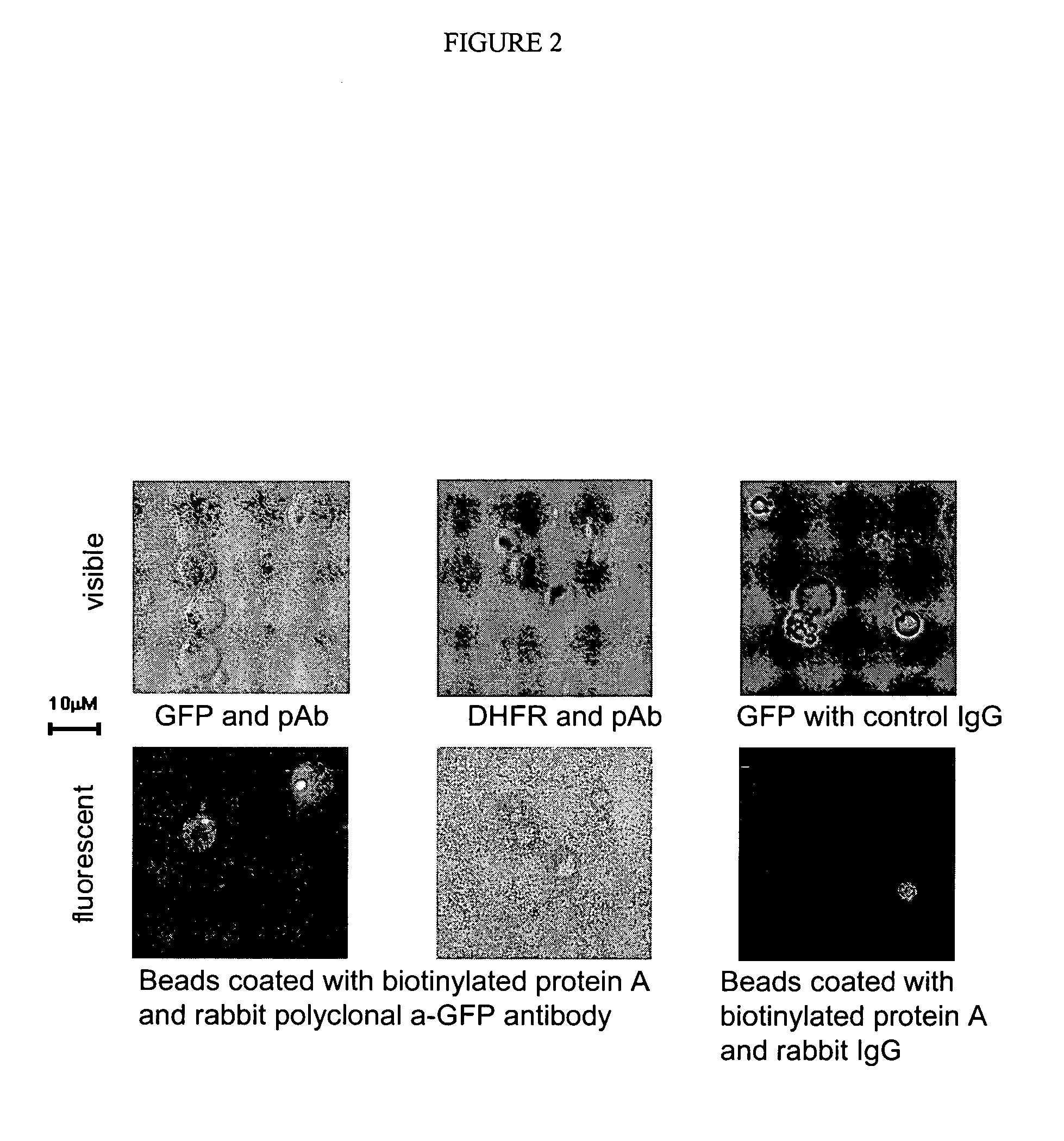Optical sorting method