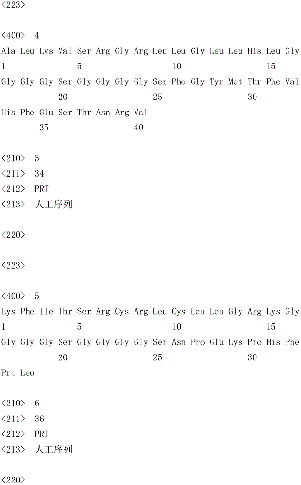 Polypeptide fragment composition and application in preparation of porcine reproductive and respiratory syndrome vaccine thereof