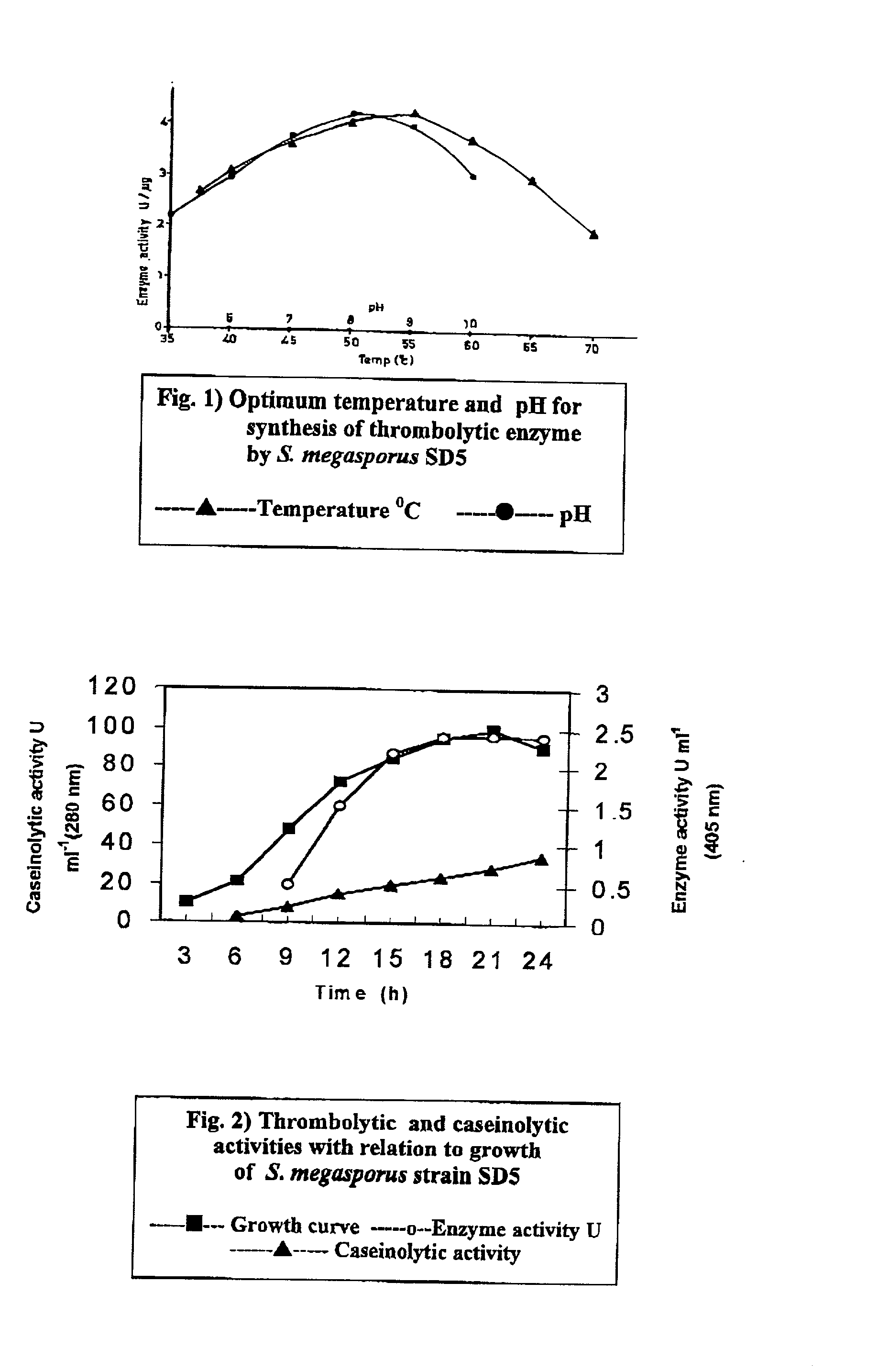 Streptomyces megasporus sd5, process for the isolation thereof, novel fibrinolytic enzyme prepared therefrom, process for the production of said enzyme and method of treatment of thrombolytic disorders using said enzyme