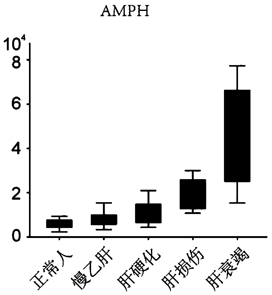 New purpose of AMPH for diagnosing hepatic failure, reagent kit and application of reagent kit for diagnosing hepatic failure