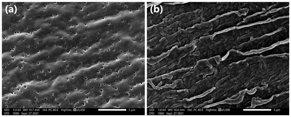 Preparation method and application of anti-corrosion and anti-fouling integrated coating with self-repairing function