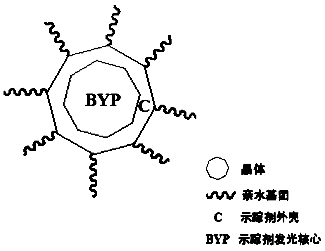 Synthetic method and application method of BYP tracer