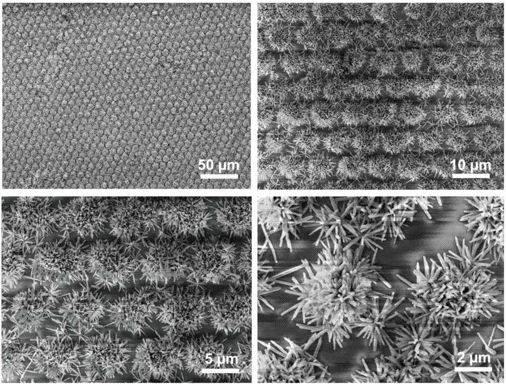Preparation method of directionally growing titanium dioxide nano-cluster array