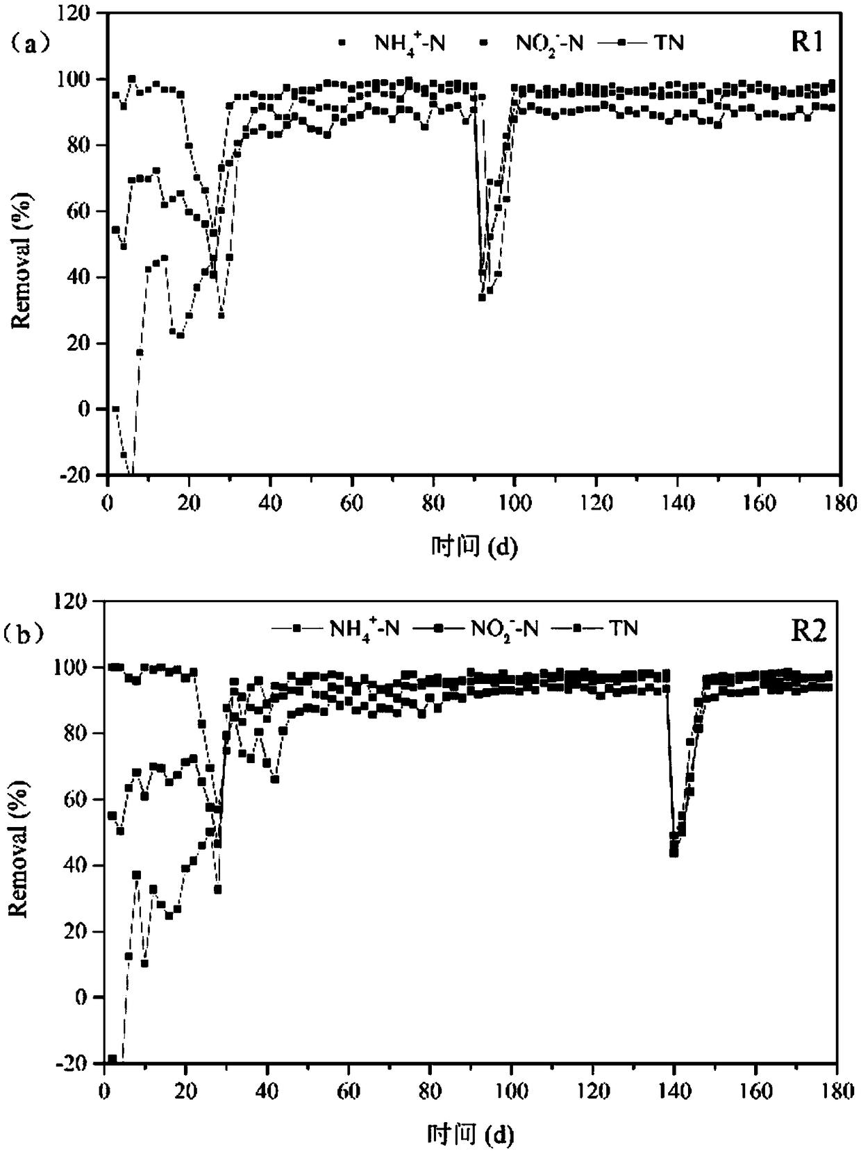 Iron ion reinforced anaerobic ammonia oxidation denitrification process