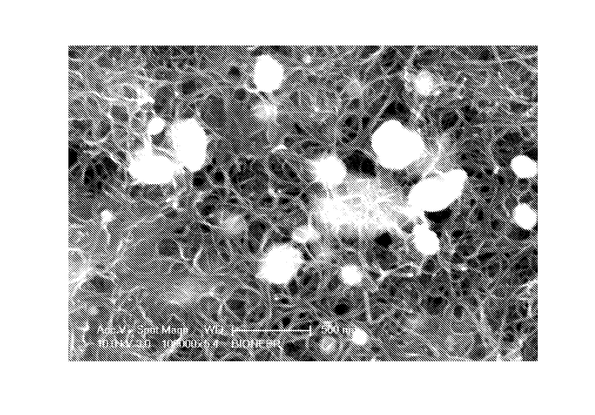 Nanoporous films and method for manufacturing the same