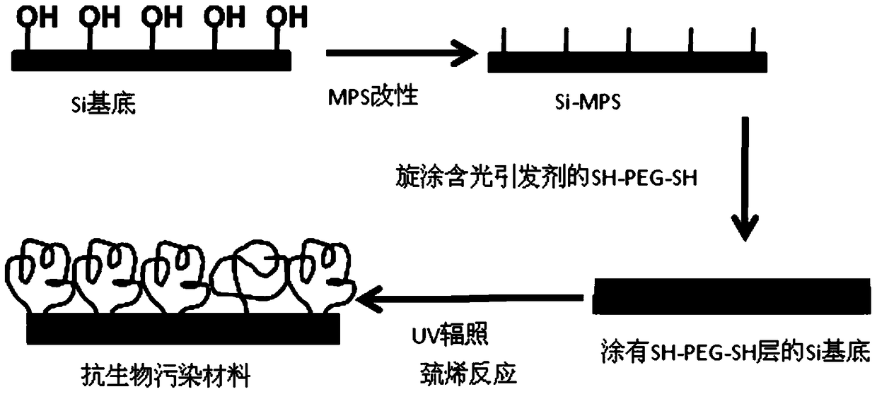 A kind of anti-biological pollution material and preparation method thereof