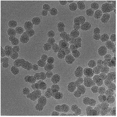 Mesoporous silica-lactobionic acid targeted nanoparticles loaded with Sorafenib/siRNA