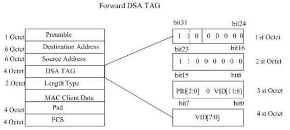 Method for implementing network bridge IGMP (internet group management protocol) Snooping based on DSA TAG (digital signature algorithm tag) and user-defined protocol stack