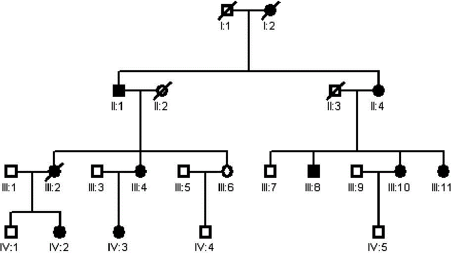 Detection kit of disease-causing gene CRYGD of crystalline congenital cataract