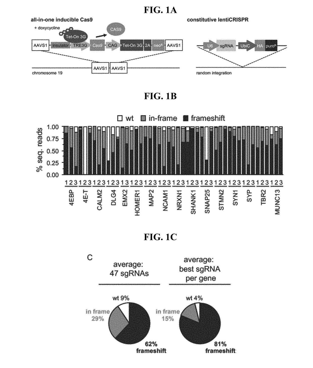 Methods and compositions for enhancing gene editing