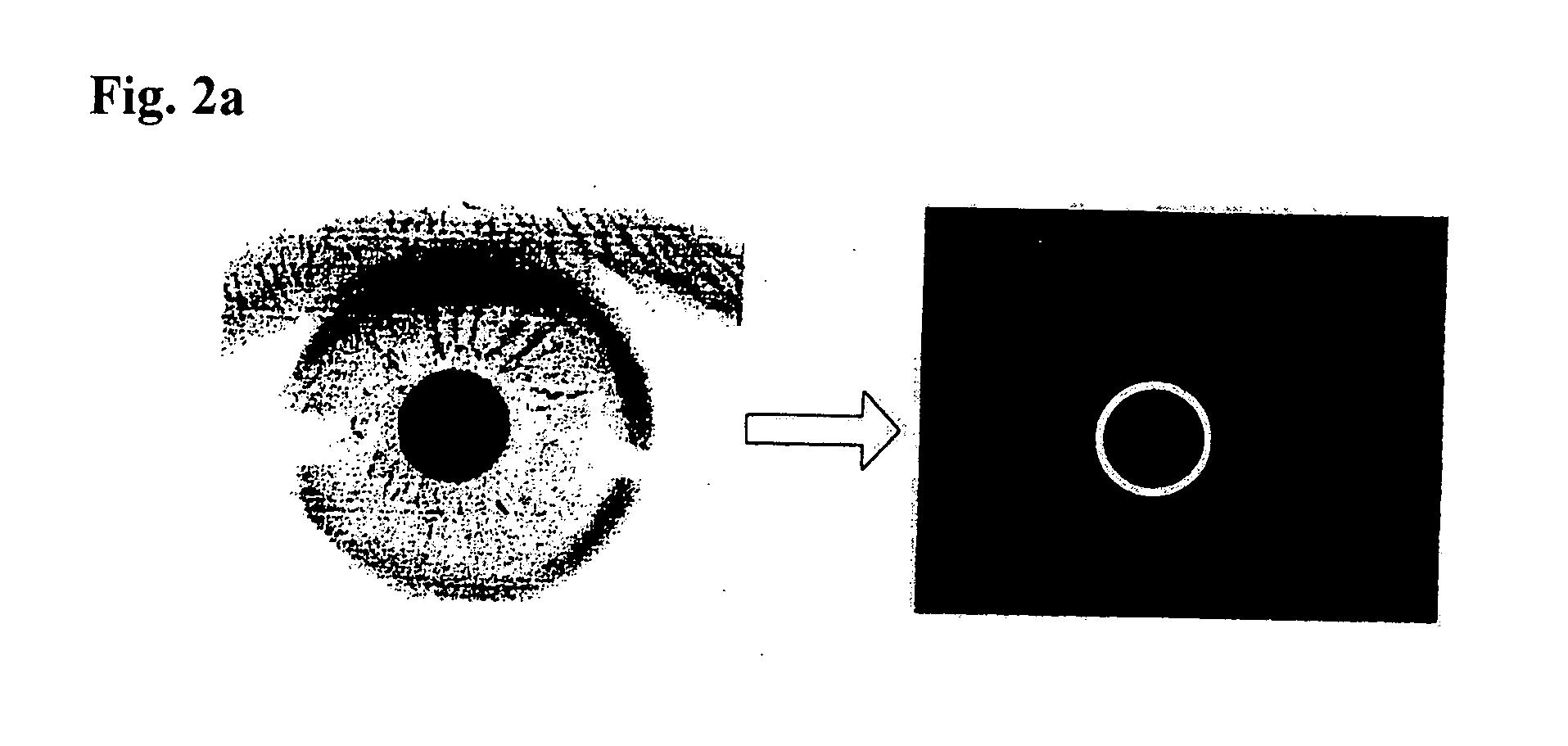 Iris image data processing for use with iris recognition system