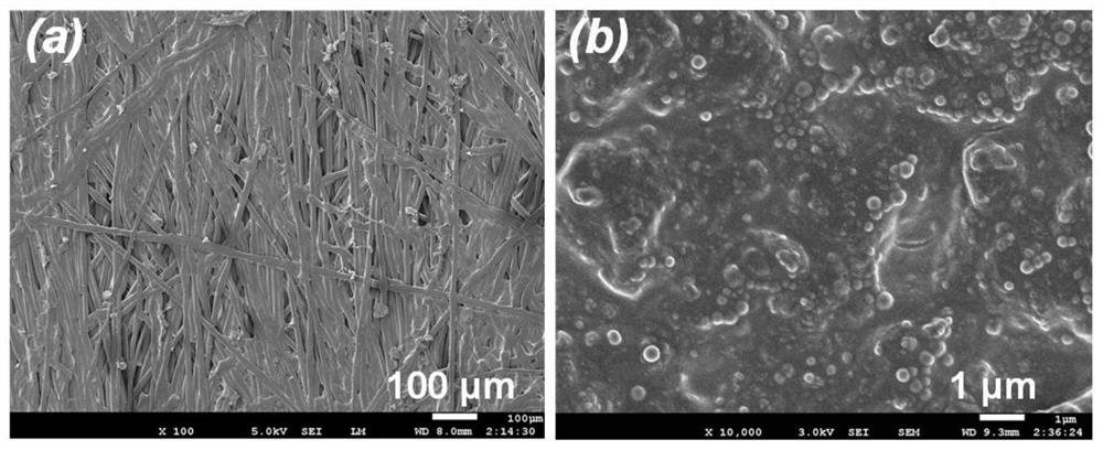 MXene-based conductive self-cleaning composite fabric for electromagnetic shielding and preparation method of MXene-based conductive self-cleaning composite fabric