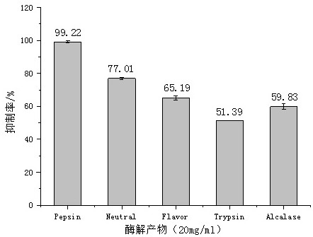 Preparation method and application of highly active anti-tumor peptide of Philippine clam