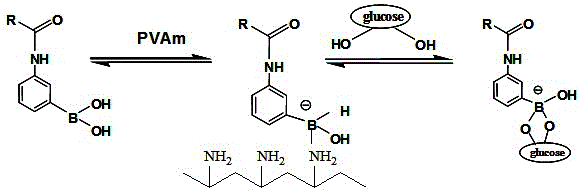 Preparation method of quick-response glucose-sensitive hydrogel