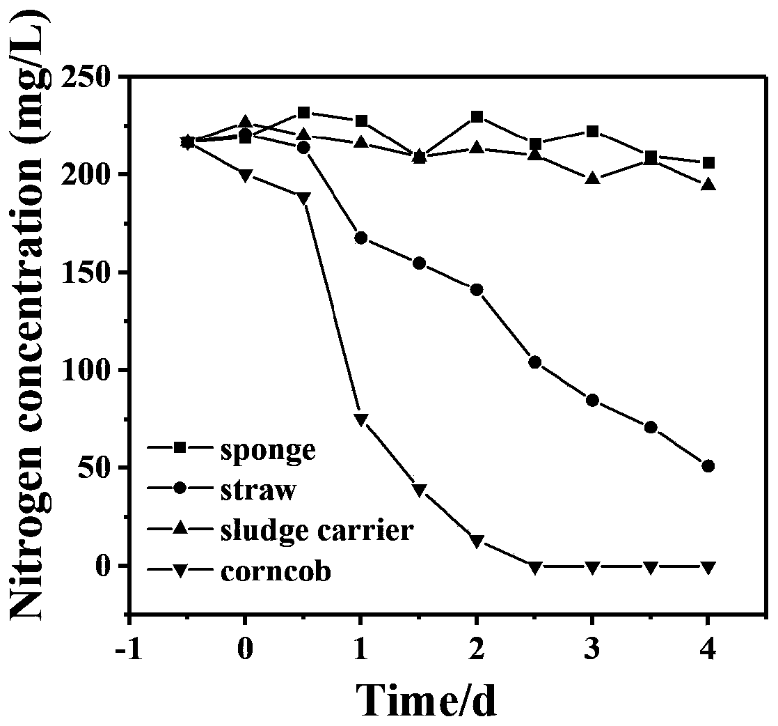 Method for denitrifying rare earth ore wastewater by using supported microalgae