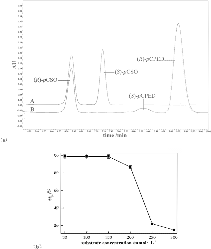 Phaseolus vulgaris epoxide hydrolase mutant with improved stereoselectivity and application thereof