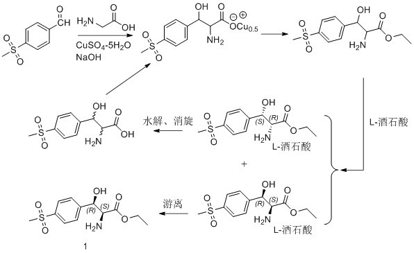 Asymmetric synthesis method for preparing (2S, 3R)-p-methylsulfonyl phenyl serine ethyl ester