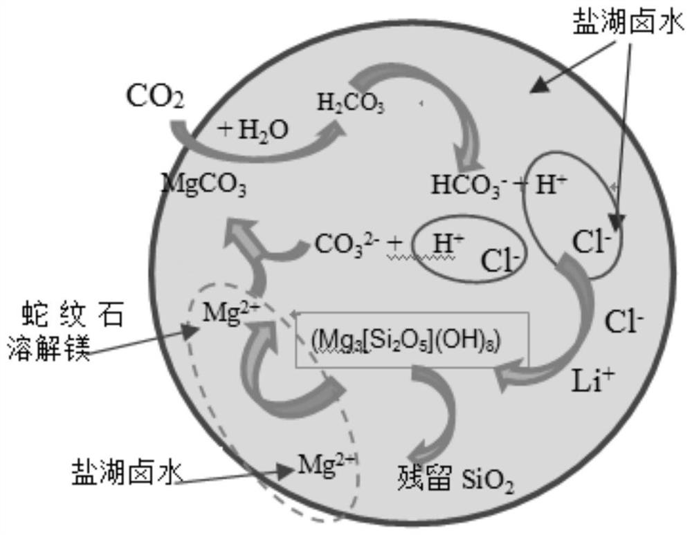 The Method of Using Serpentine to Treat Salt Lake Brine