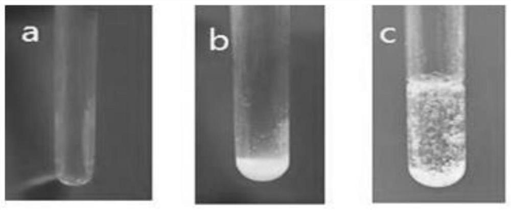 The Method of Using Serpentine to Treat Salt Lake Brine