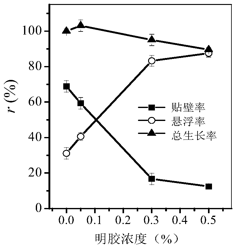 Method for efficiently inhibiting photosynthetic bacteria phototaxis adherence for liquid culture of photosynthetic bacteria