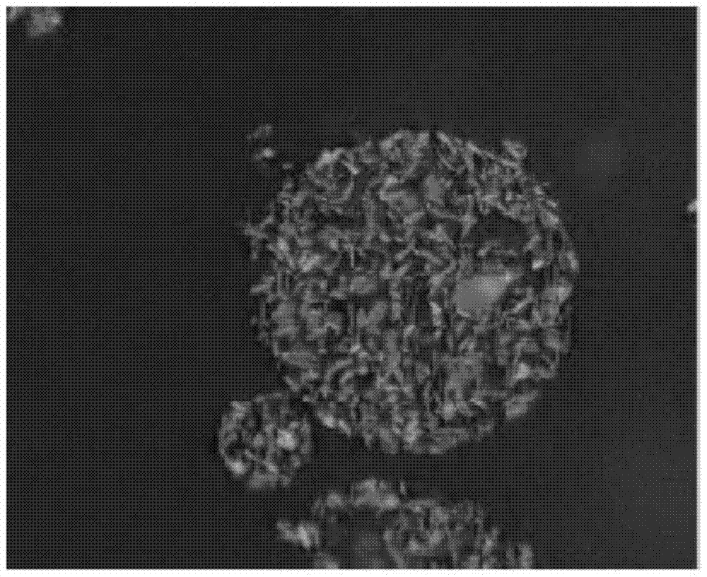 Negative electrode material for lithium ion secondary battery, method for producing same, negative electrode for lithium ion secondary battery using same, and lithium ion secondary battery