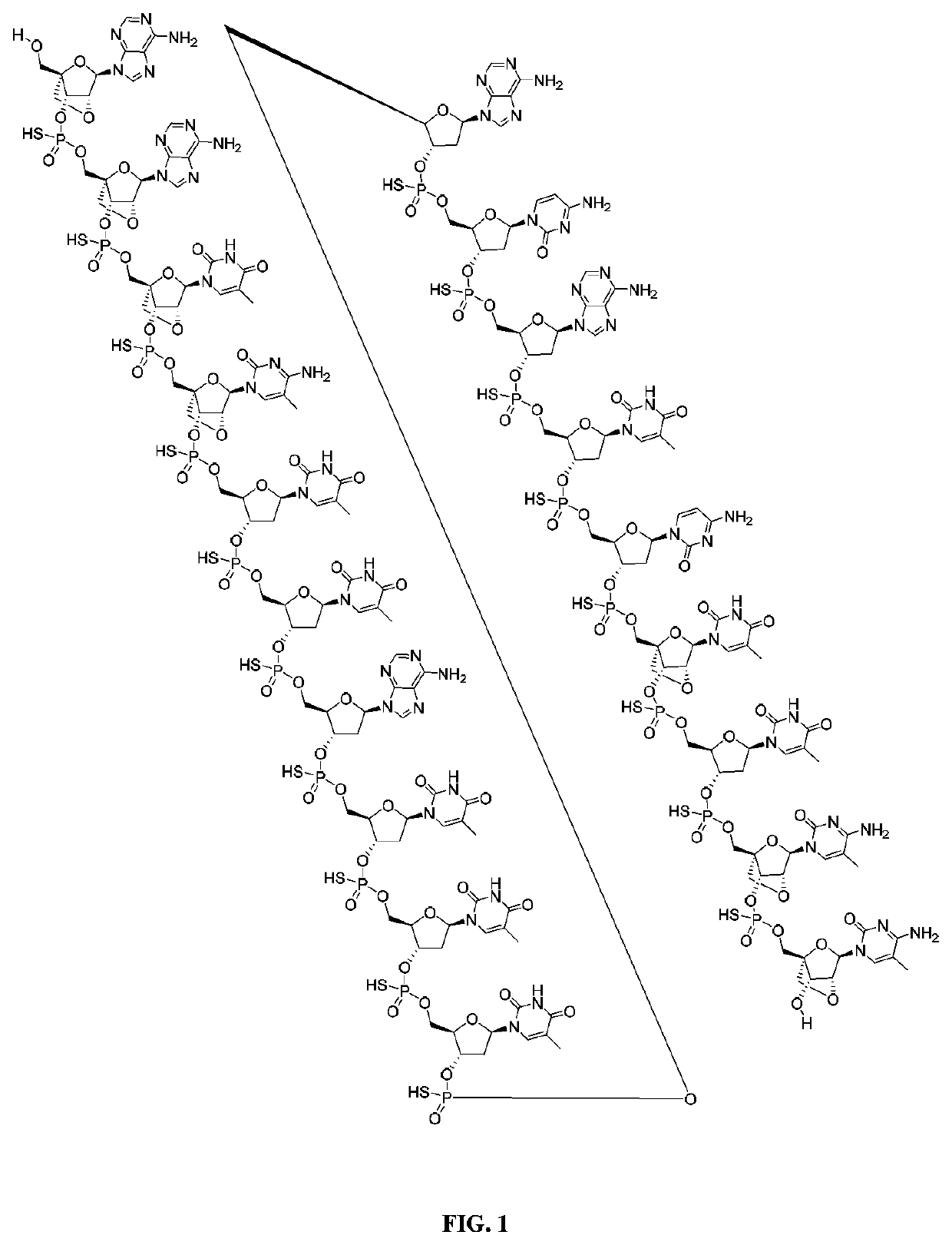 Antisense oligonucleotides targeting atxn3