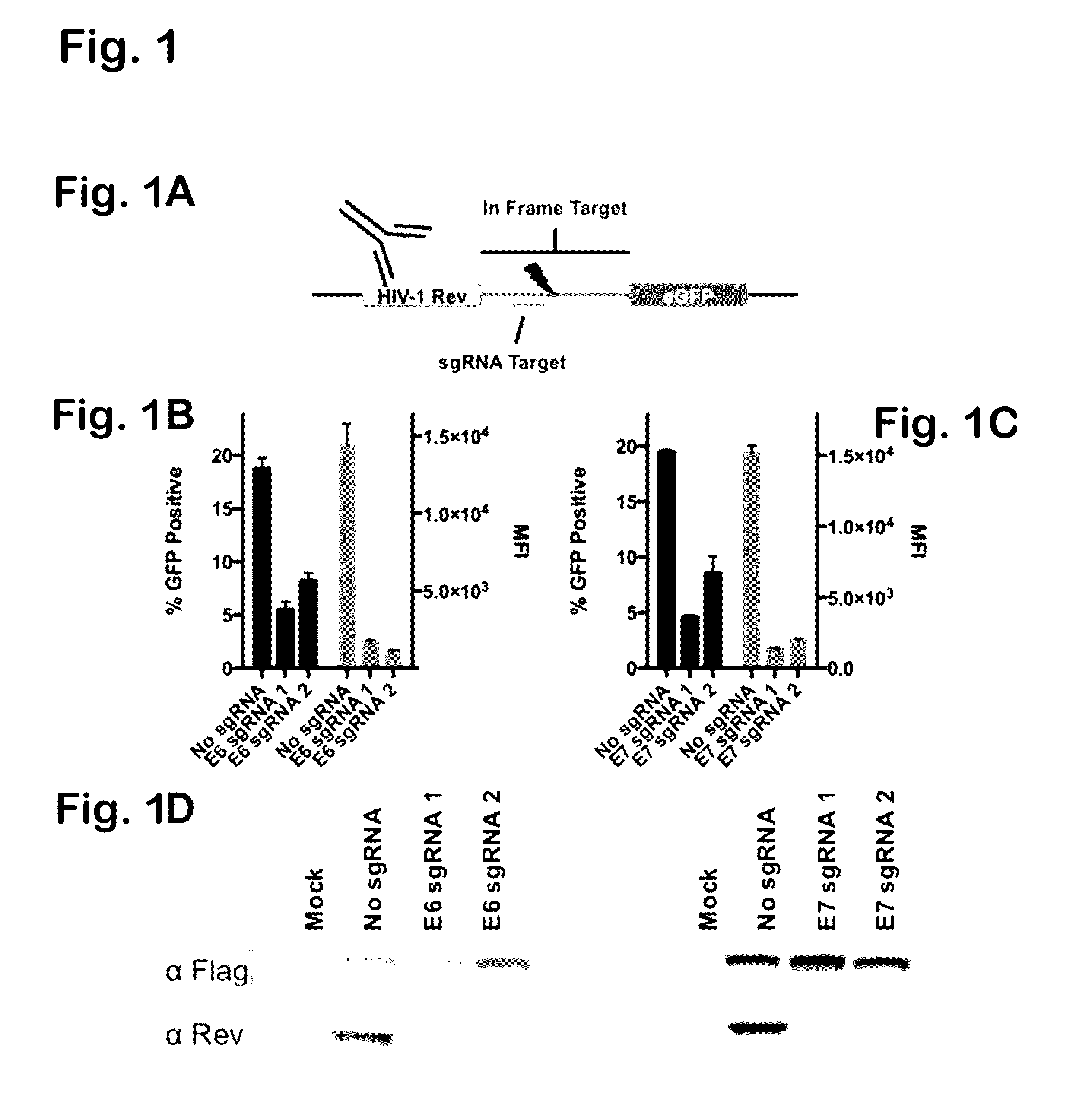 Compositions for the inactivation of virus replication and methods of making and using the same