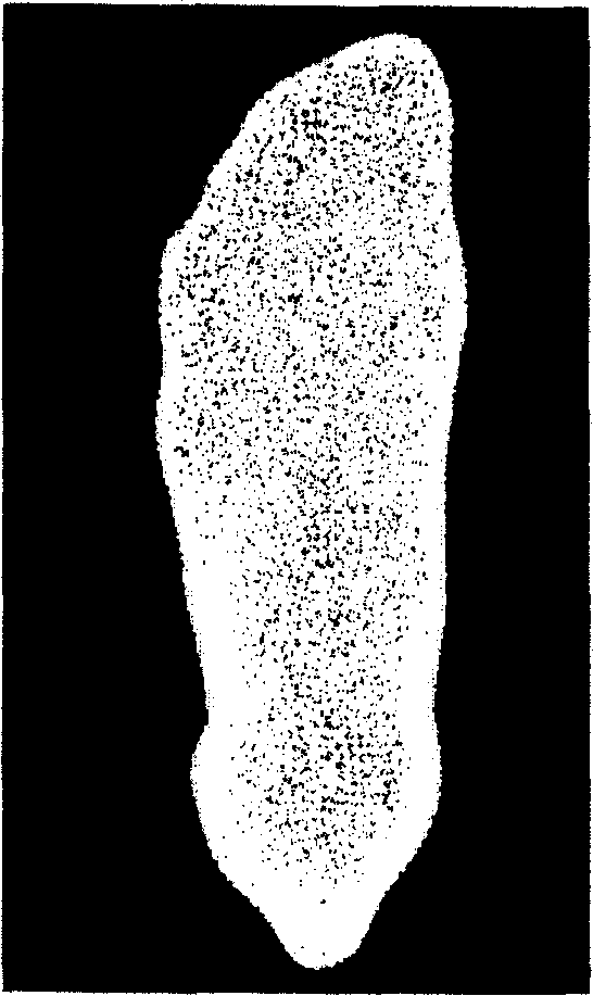 Three-dimensional feet data measuring method to sparse grid based on curve subdivision