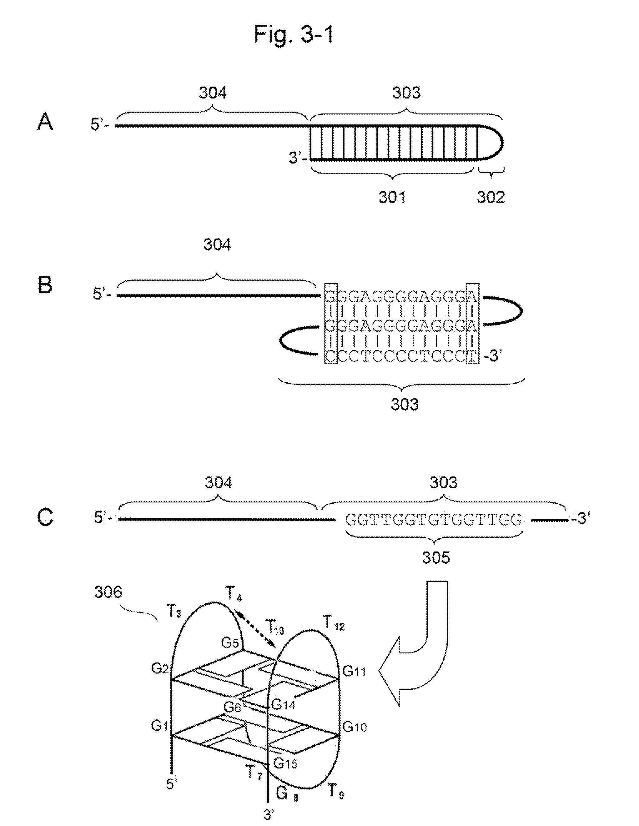 Nucleic acid molecule for inhibiting activity of rnai molecule