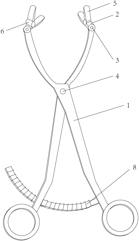 Uterus clamp