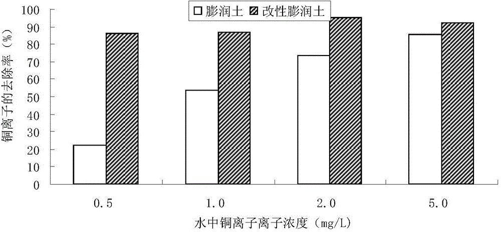 Compound modified bentonite