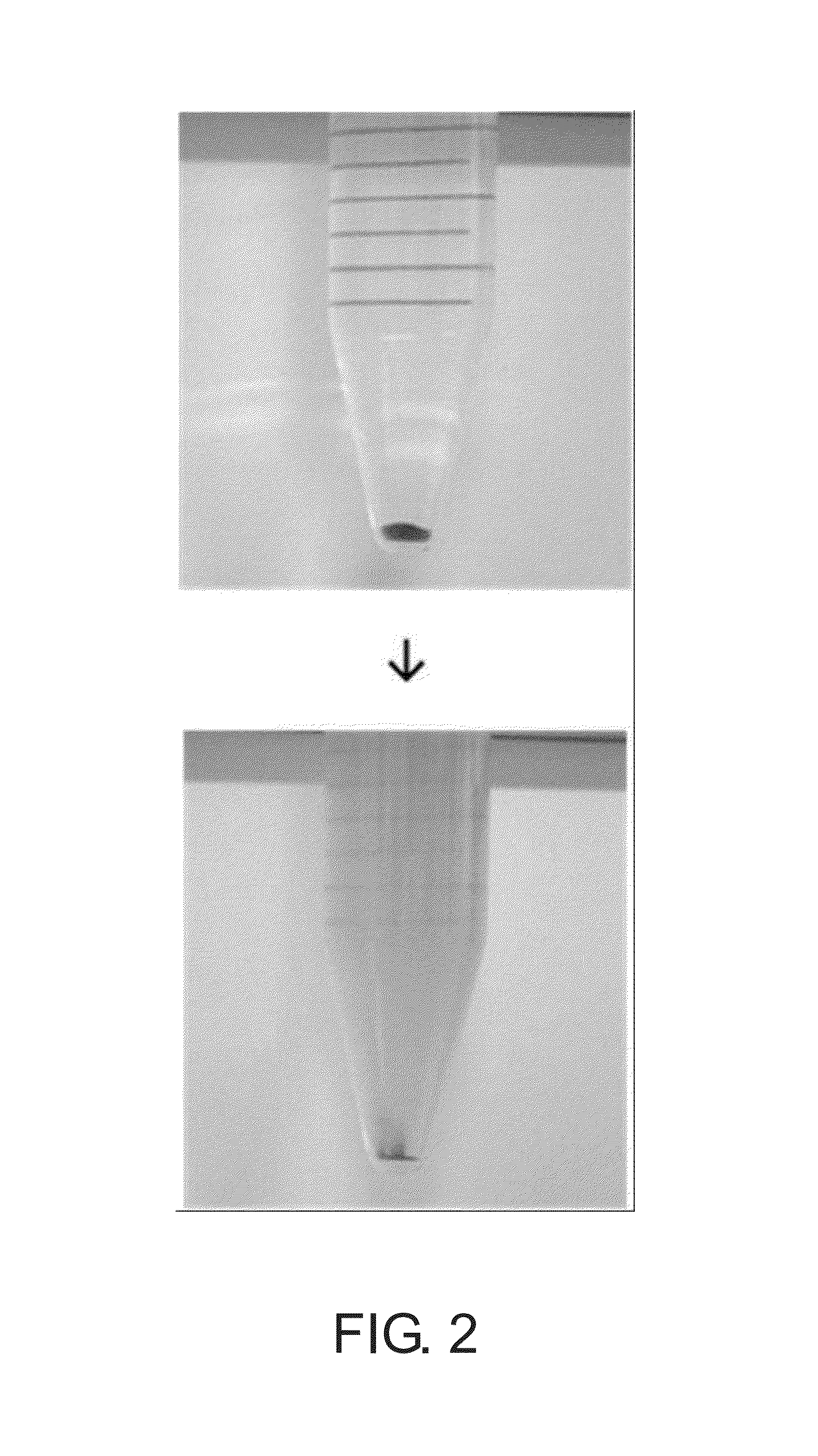 Streptavidin-coupled magnetic particles and manufacturing method for same